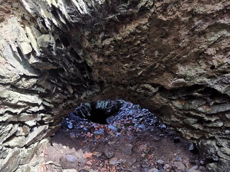 Aufgaben des Vereins