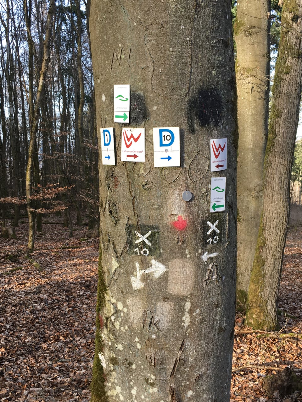 Besuch am Hohenfels